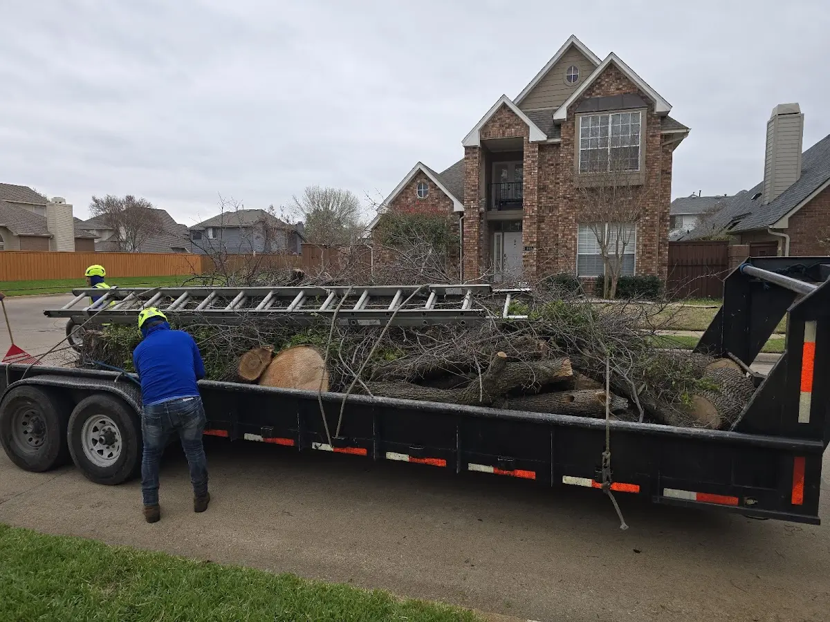 Expert Tree Pest Control with proper safety equipment in Freeport